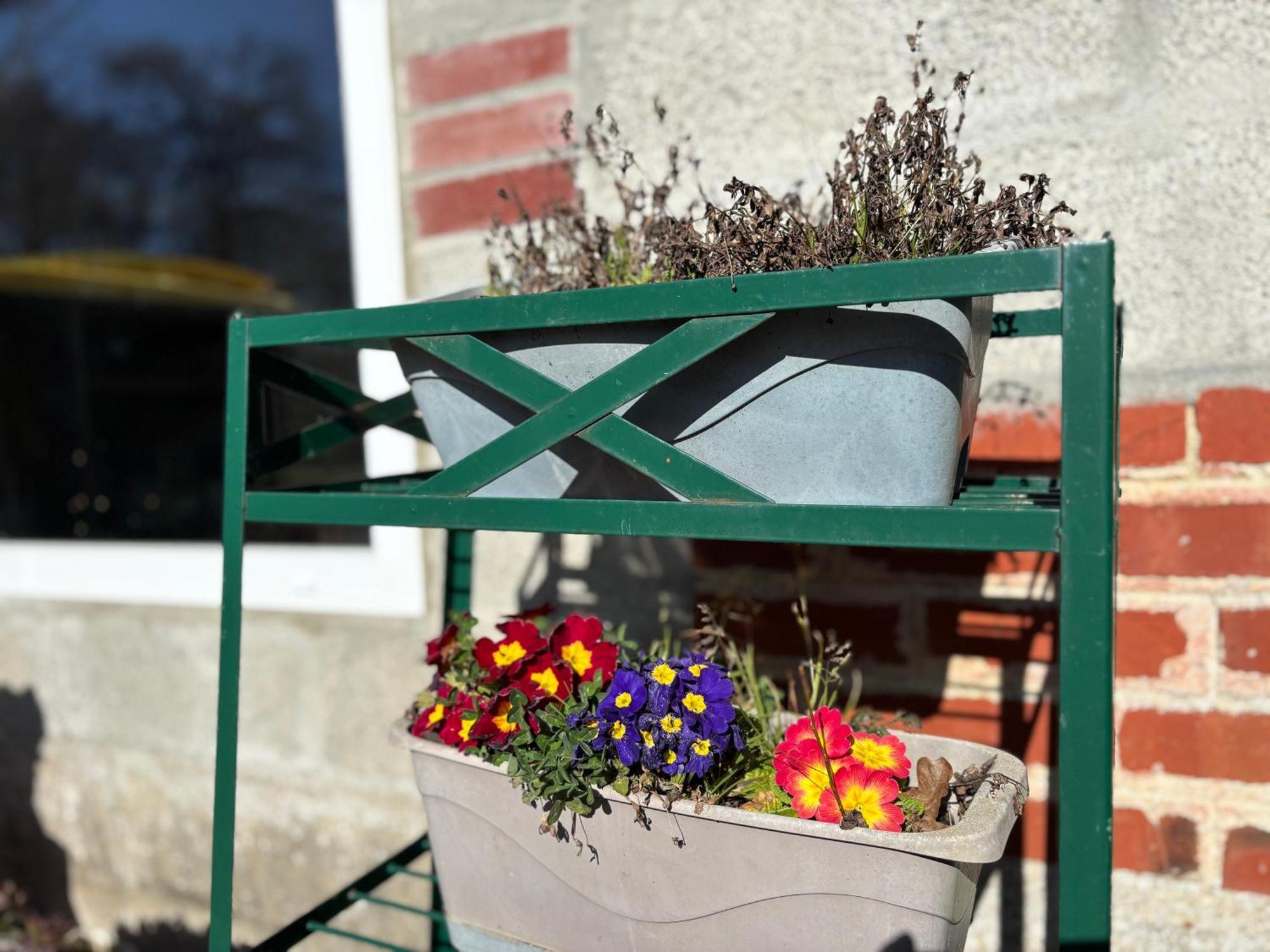Maison De Campagne Lumineuse Spacieuse Dans Impasse Au Calme A Proximite D'Un Chateau Deux Verandas Grand Jardin Cabane Pour Velos, Pres Port En Bessin Et Bayeux, Proche Plages Du Debarquement Commes Экстерьер фото